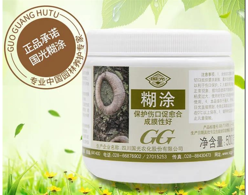國(guó)光糊涂
